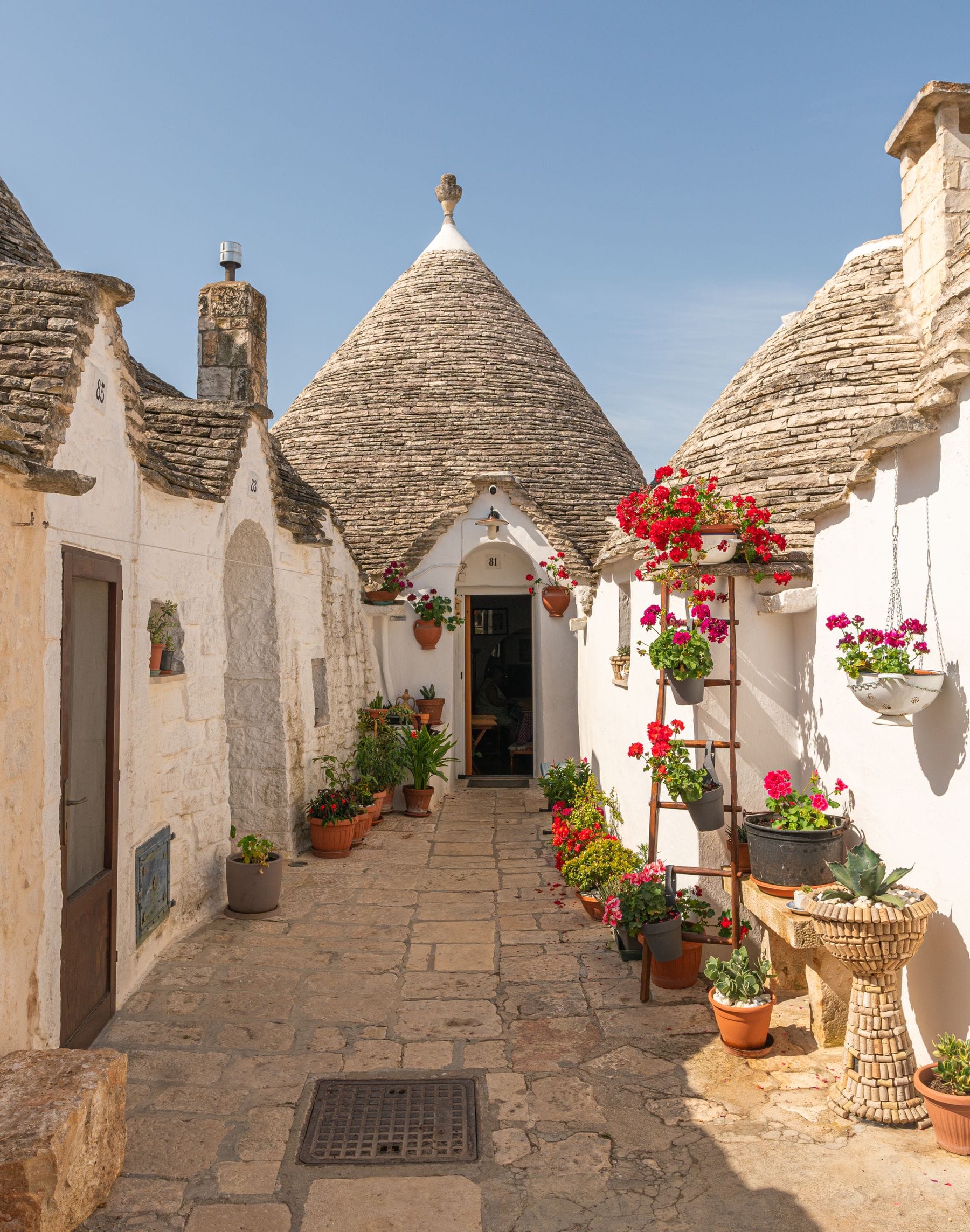 Дома-трулли в Альберобелло с цветами